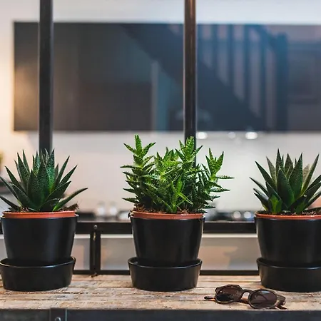 L'atelier Keyweek Vintage Duplex With Parking Center 비아히쯔